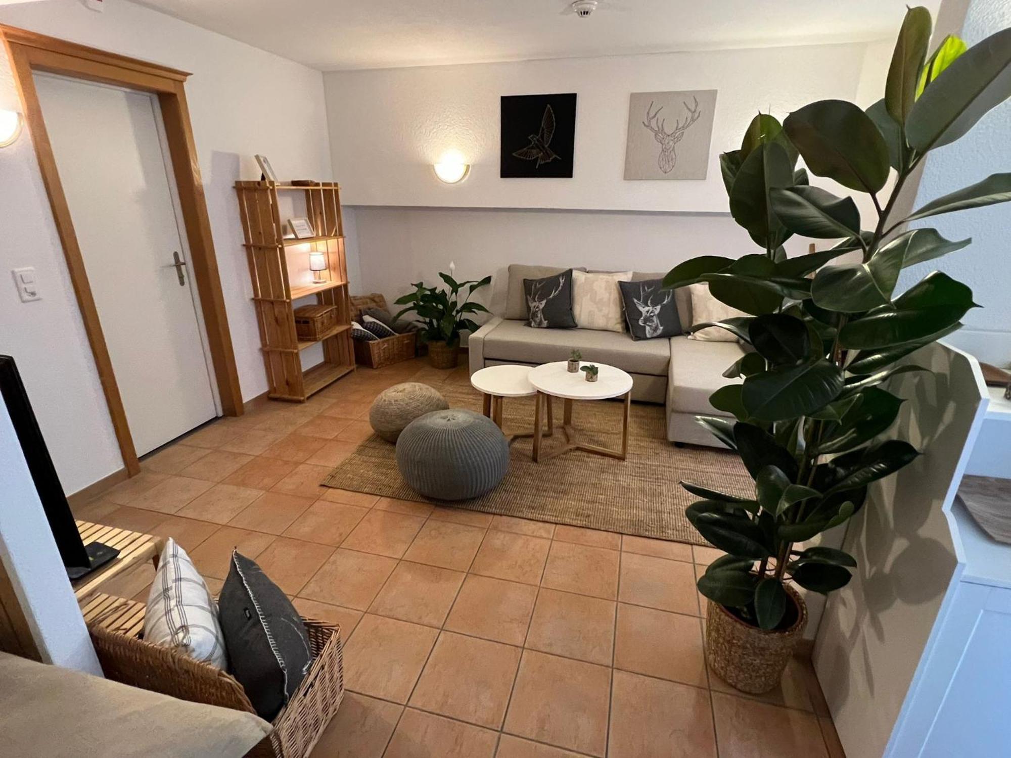 Spannort Family Home With Common Kitchen And Self Check-In Engelberg Eksteriør bilde
